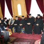 μητροπολίτης αυστροουγγαρίας