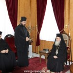 μητροπολίτης αυστροουγγαρίας