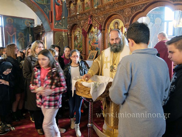 μητροπολίτης ιωαννίνων