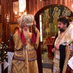 μητροοπολίτη ζάμπιας