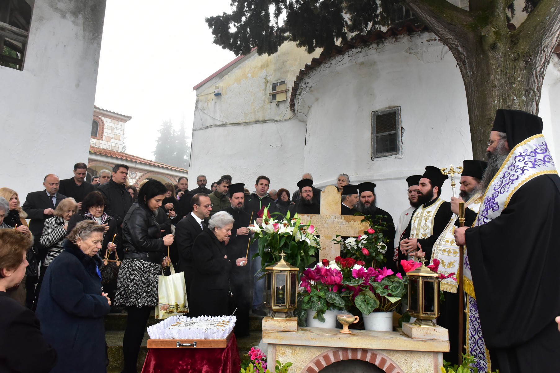 DSC_8397 (Αντιγραφή)