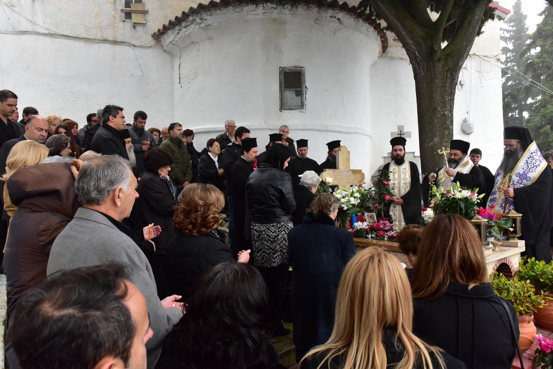 DSC_8398 (Αντιγραφή)