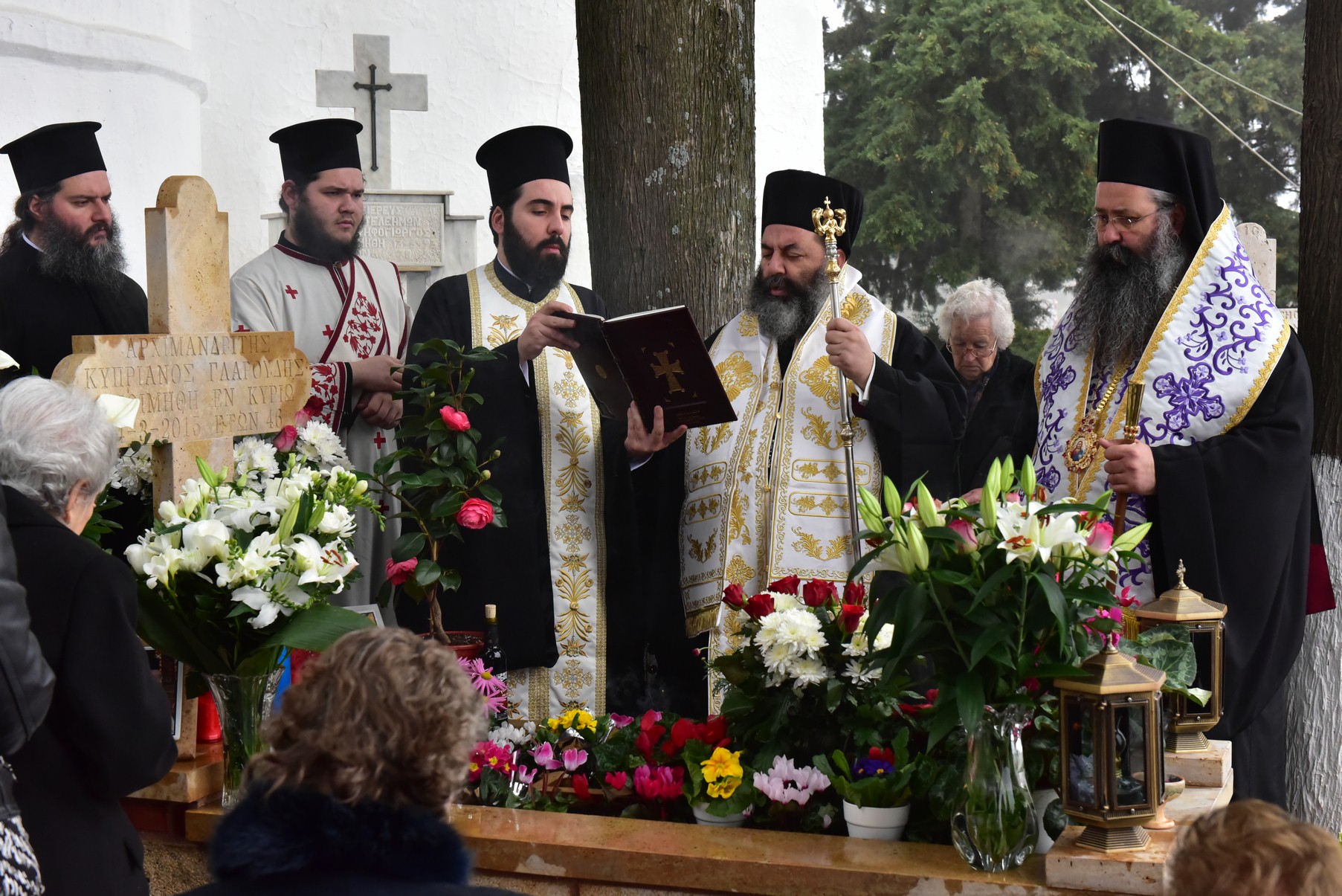 DSC_8400 (Αντιγραφή)