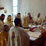 αγίου τρύφωνος