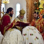 αγίου τρύφωνος