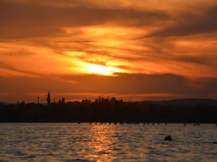 περί προφητολογίας