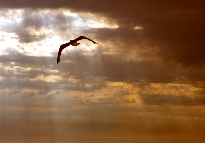Αυτογνωσία