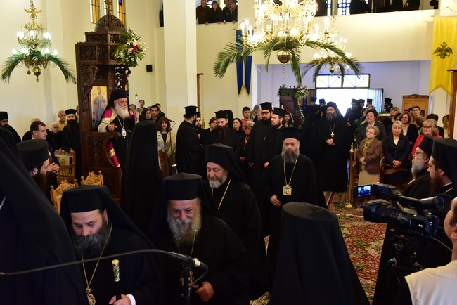 DSC_7762 (Αντιγραφή)