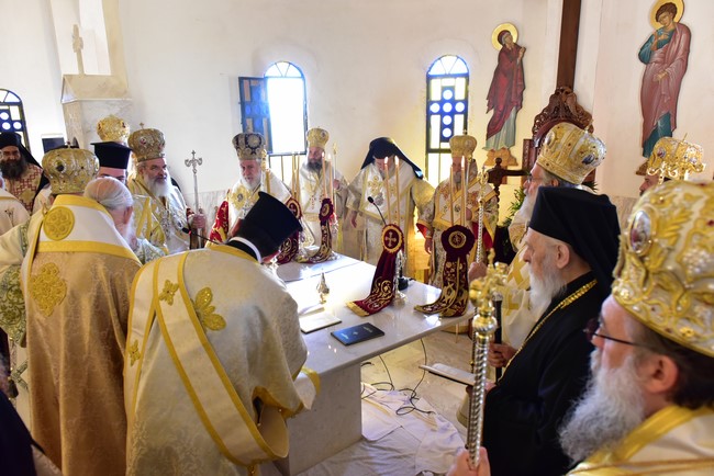 DSC_7817 (Αντιγραφή)