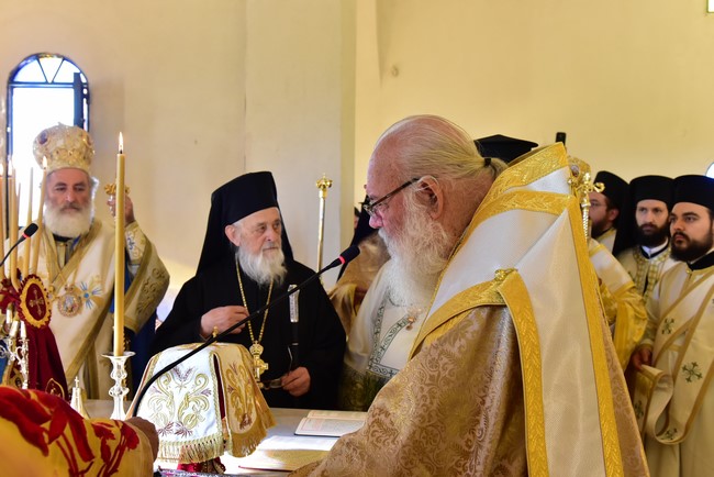 DSC_7819 (Αντιγραφή)