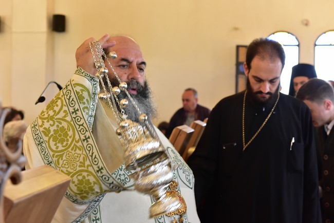 DSC_8292 (Αντιγραφή)