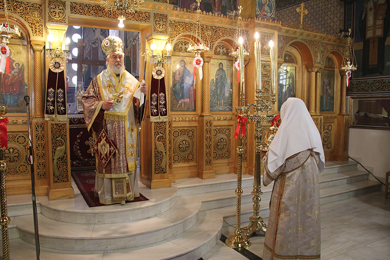 φωκίδος θεόκτιστος