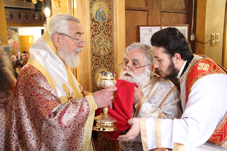 φωκίδος θεόκτιστος