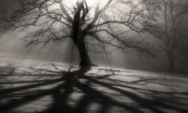 αμαρτήσουμε