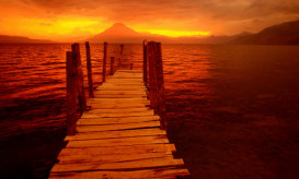 ανεξικακία