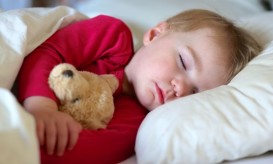 διδακτική ιστορία