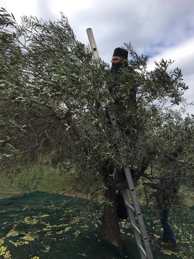 image-0-02-05-6d469e87b07b818d5321145cb63b6812cbaacd74e3164a8e445312e8e22a879b-v