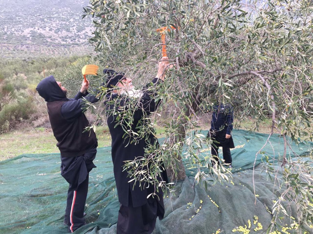 image-0-02-05-870ac105bd3dd1656567370ad3b494854a0a3888ce65e6844f405981f5234404-v