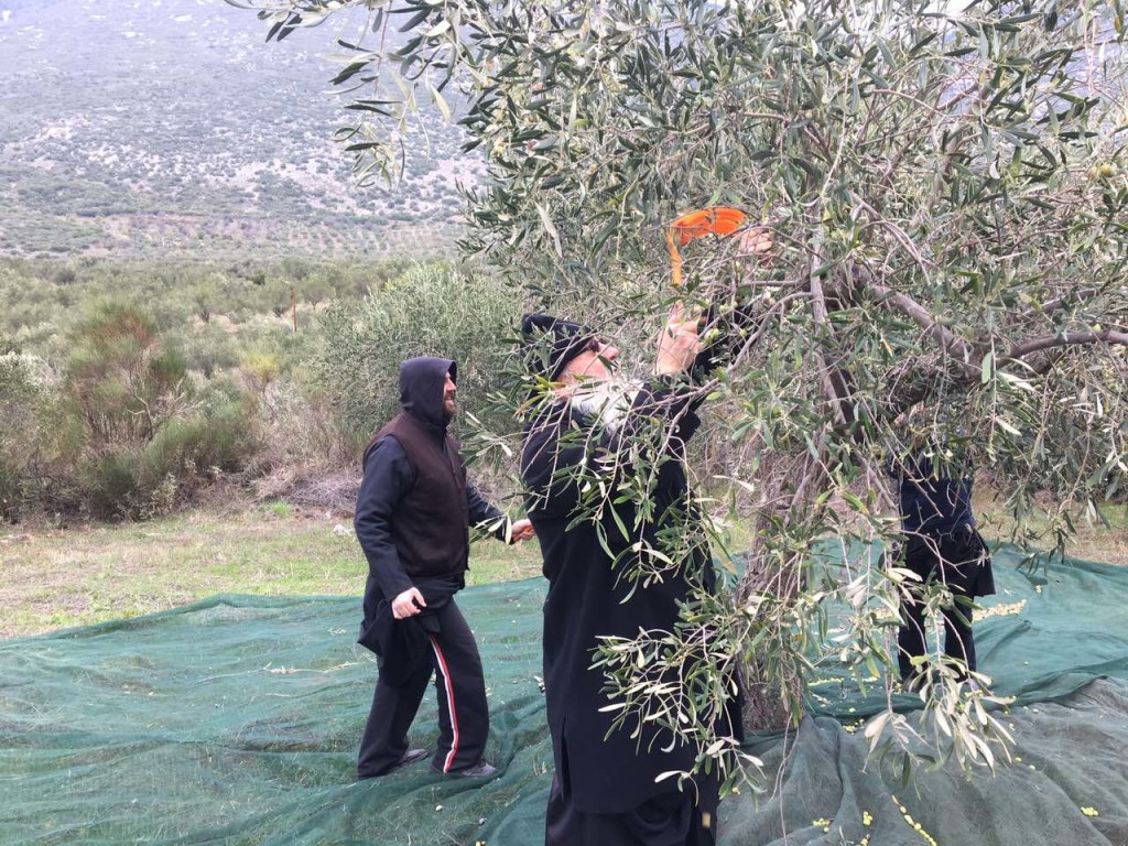Μητροπολίτης