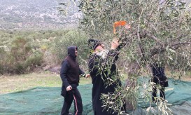 Μητροπολίτης