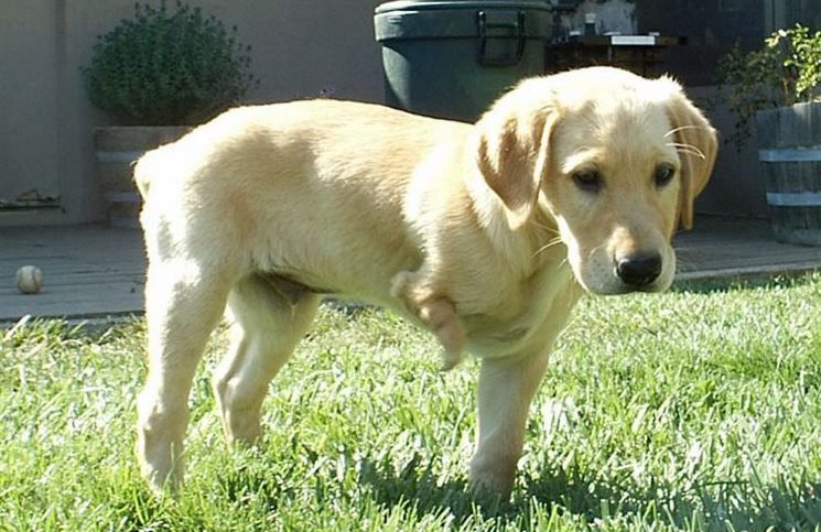 διδακτική ιστορία