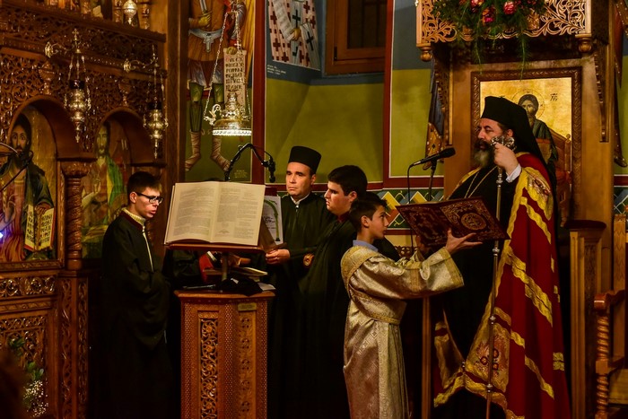 dsc_5172_31138951764_o