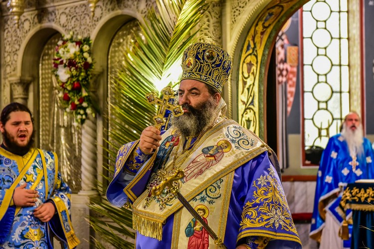 dsc_6622-_31992221762_o