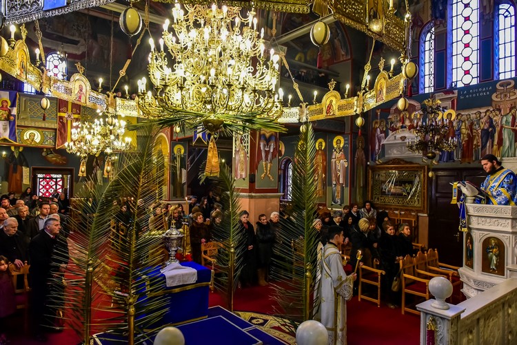 dsc_6626-2-_31299469914_o