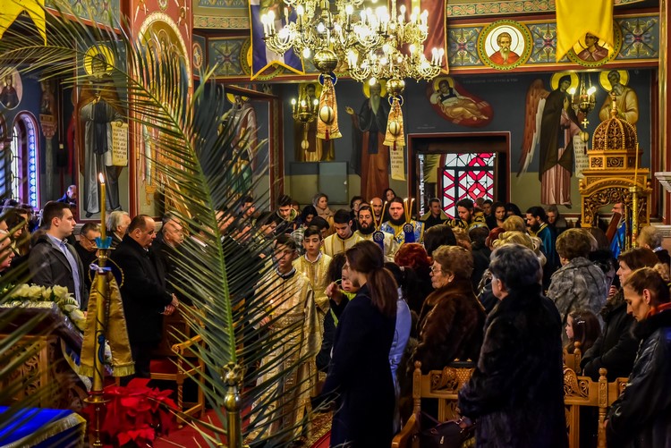 dsc_6655-2-_31299483824_o