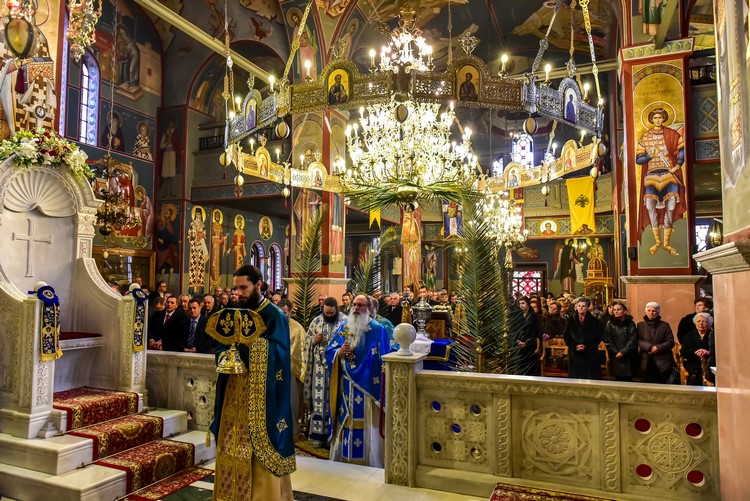 dsc_6659-2-_31330840523_o