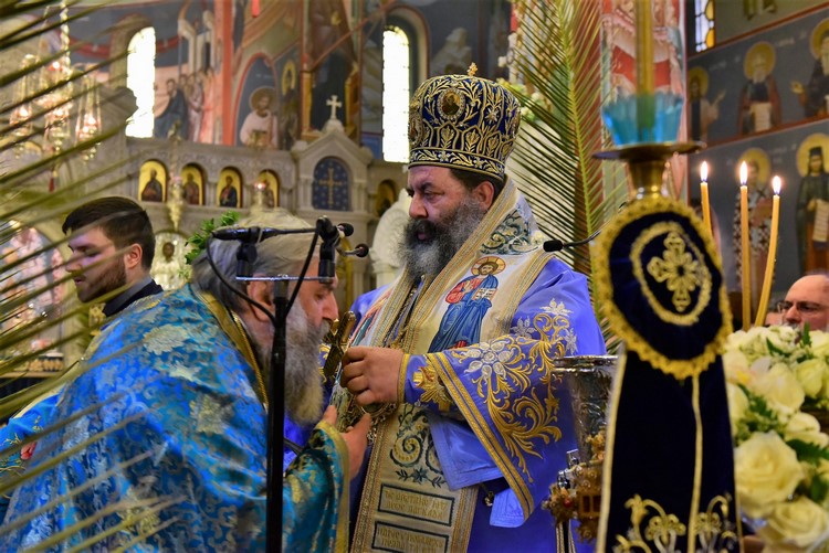 dsc_6758-2-_32102430416_o