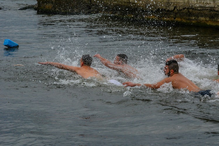 dsc_6858-3-_31765926410_o