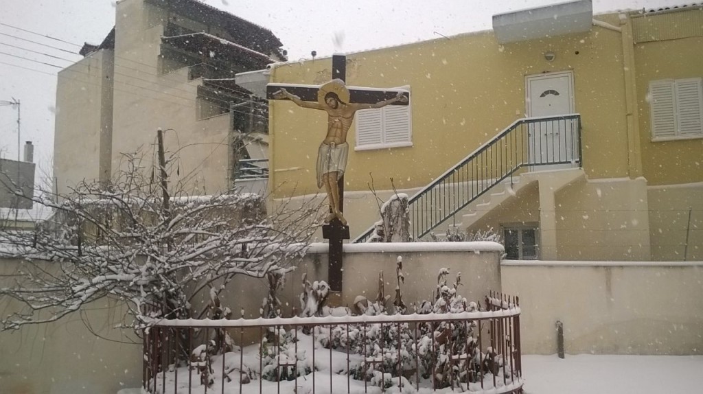 xionia-larisi-zoopigi-10