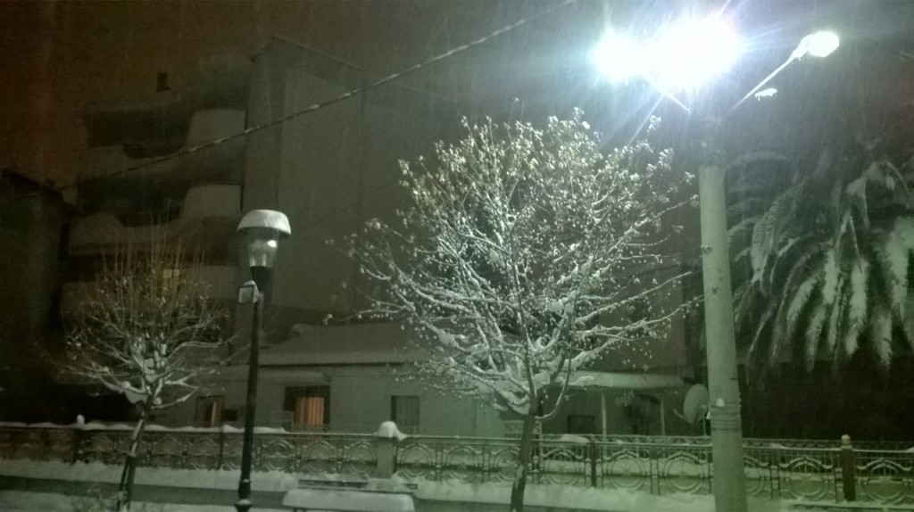 xionia-larisi-zoopigi-11