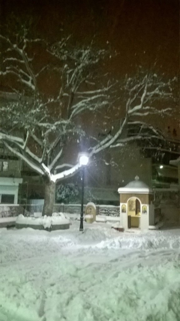 xionia-larisi-zoopigi-12