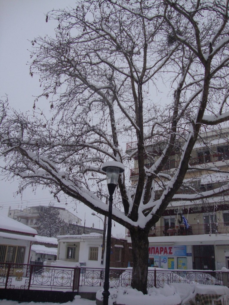 xionia-larisi-zoopigi-4