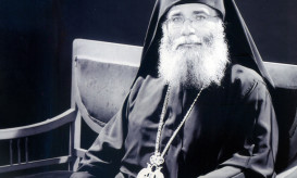 παπαροκάδες