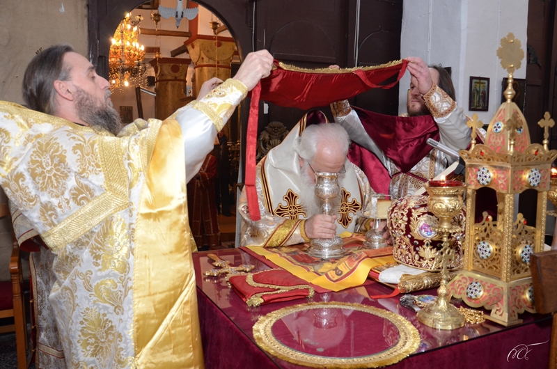 leiotyrgia_paliouri_05