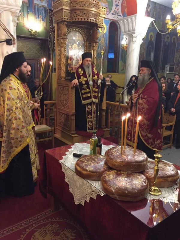 metheortia_Dasoxori-2