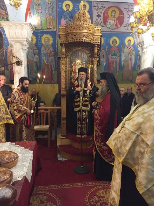 metheortia_Dasoxori-4