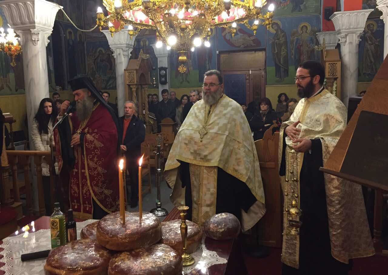 metheortia_Dasoxori-5