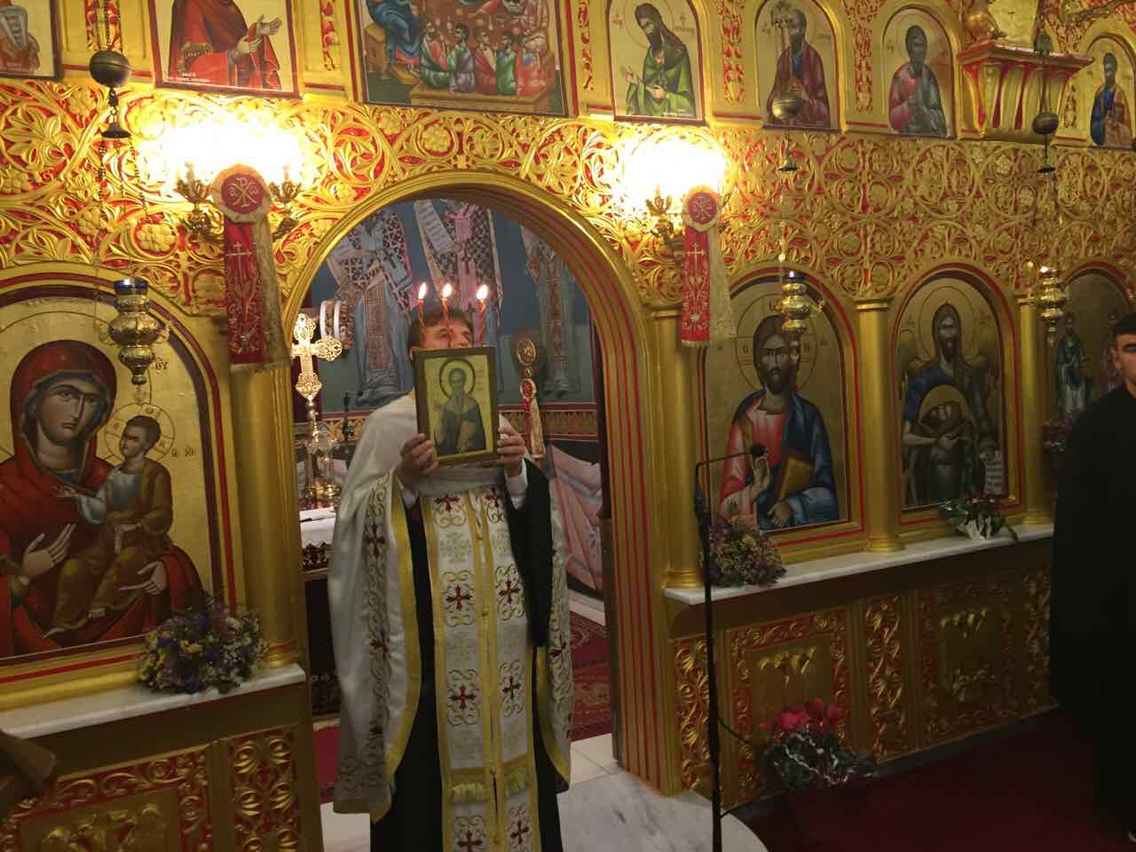 metheortia_Dasoxori-8