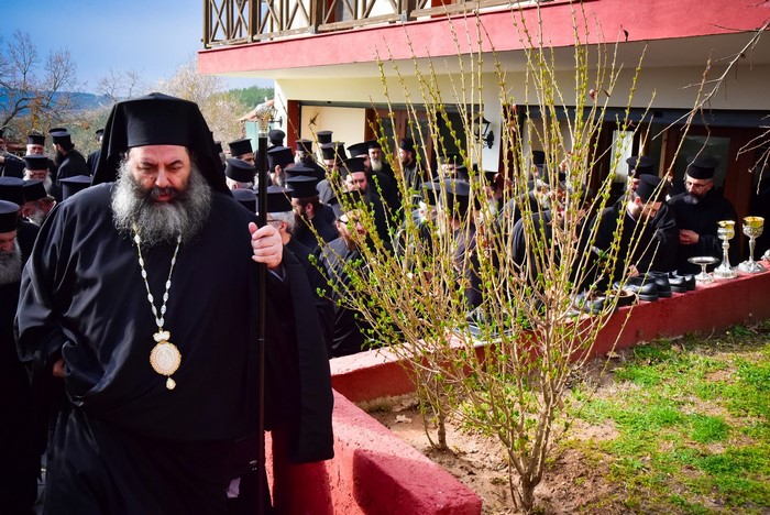 dsc_4769_33433483346_o