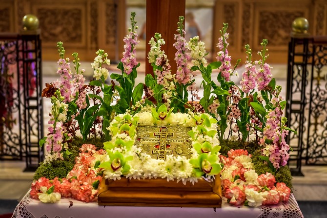 dsc_4971_32712323443_o