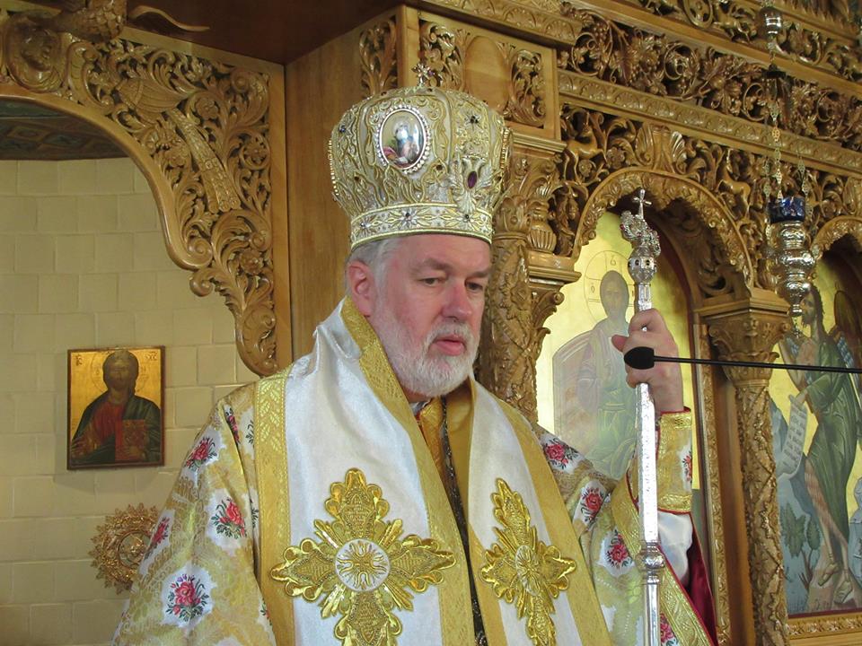 17499590_1185091451618500_4988587535289310008_n