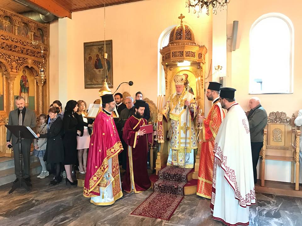 17757177_1185084671619178_1101613535558296079_n