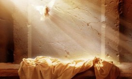 φανερώθηκε