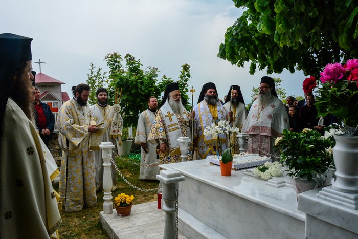 dsc_7061_33519383464_o