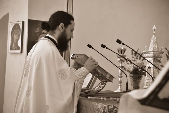 dsc_1520_34990743050_o