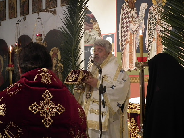 S.I.Maximovits2017.6819